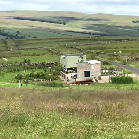 The Buteland Stop Rosie Off Grid Shepherds Hut Bellingham Exterior photo