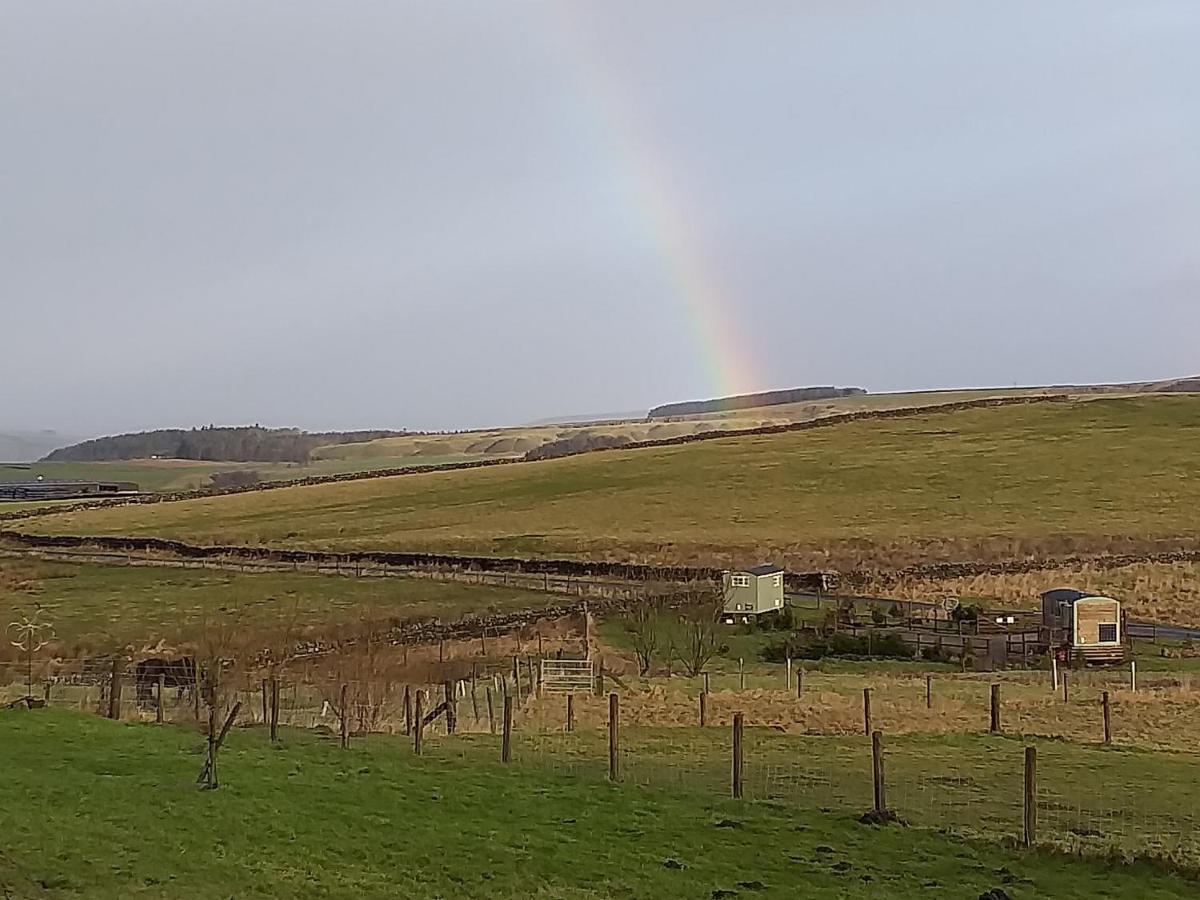 The Buteland Stop Rosie Off Grid Shepherds Hut Bellingham Exterior photo