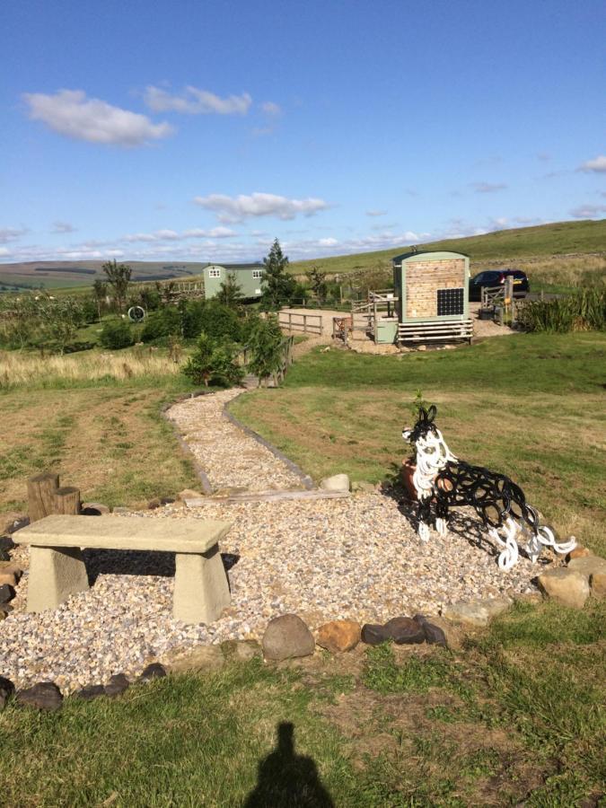 The Buteland Stop Rosie Off Grid Shepherds Hut Bellingham Exterior photo