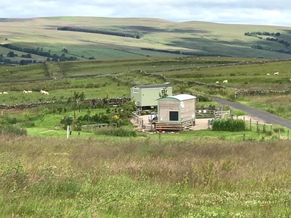 The Buteland Stop Rosie Off Grid Shepherds Hut Bellingham Exterior photo