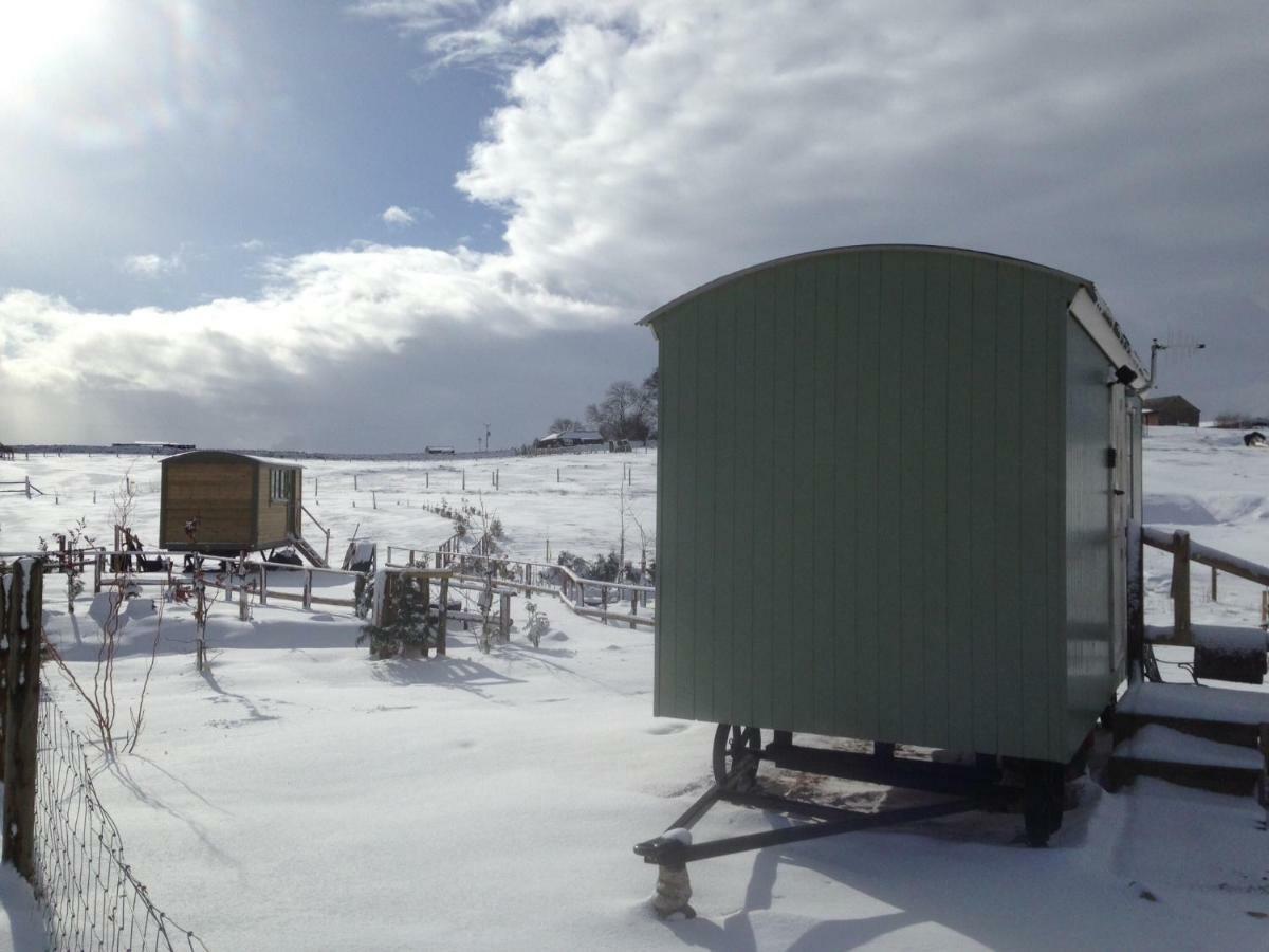 The Buteland Stop Rosie Off Grid Shepherds Hut Bellingham Exterior photo