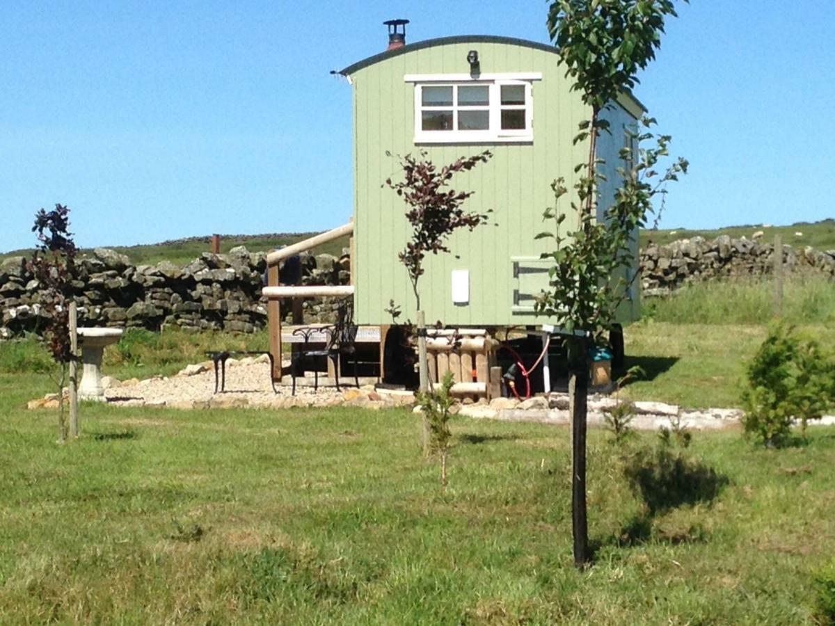The Buteland Stop Rosie Off Grid Shepherds Hut Bellingham Exterior photo